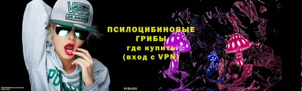 PSILOCYBIN Армянск