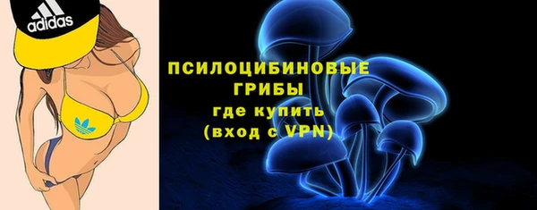 PSILOCYBIN Армянск