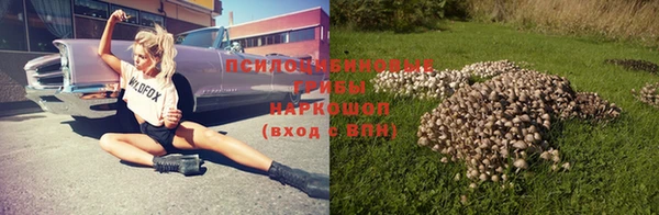 PSILOCYBIN Армянск