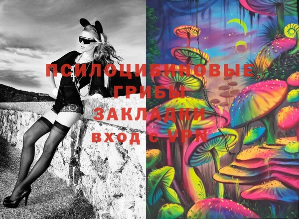 PSILOCYBIN Армянск